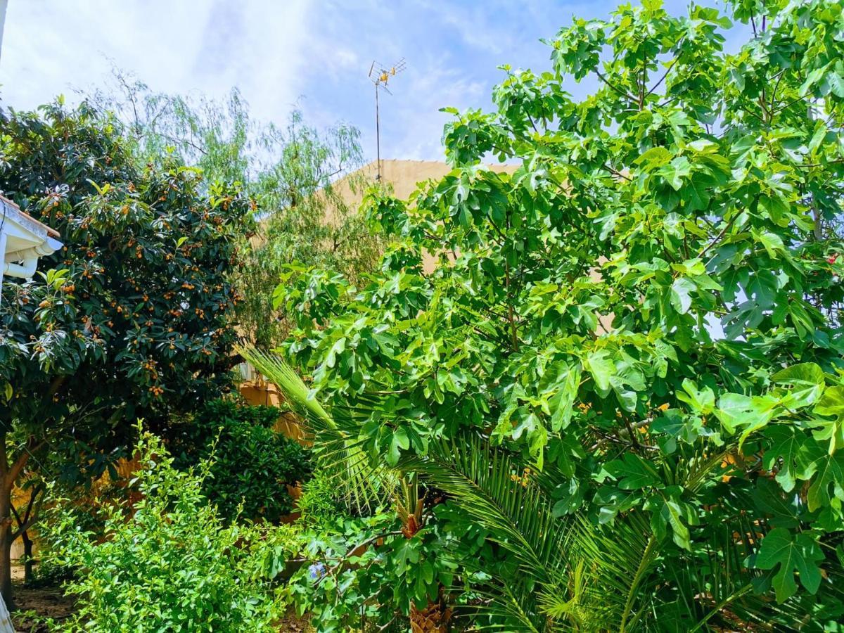 Villa Sia Torrevieja Bagian luar foto